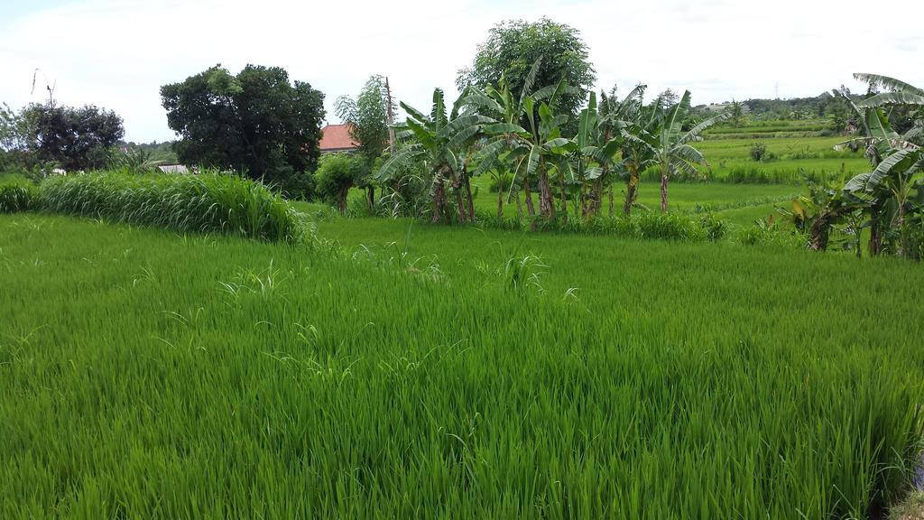 Puri Pondok Dawa Villa Kusamba ภายนอก รูปภาพ